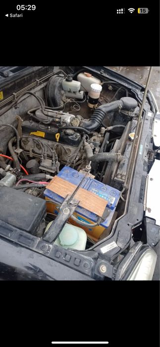 Внидородник Gonow