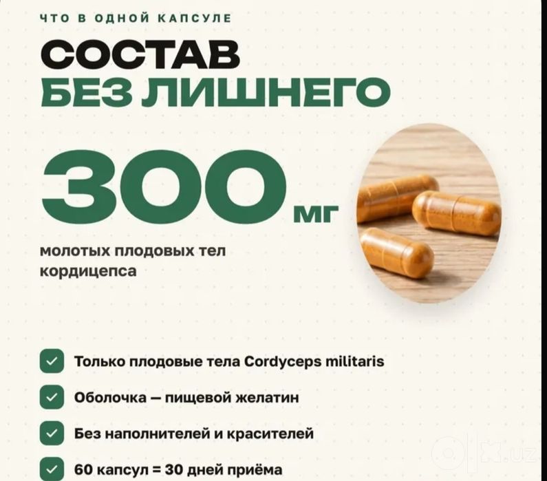 Кордицепс военный в капсулах весь курс