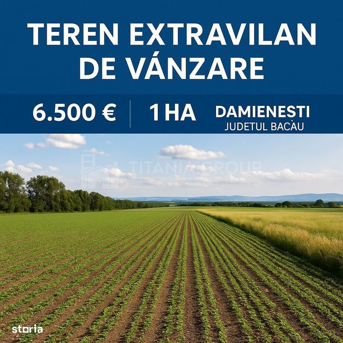 Teren extravilan agricol 1 ha de vânzare- Damienești, Bacău