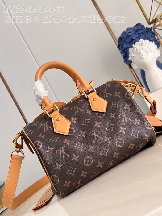Geanta Louis Vuitton Speedy 25cm, tip Premium