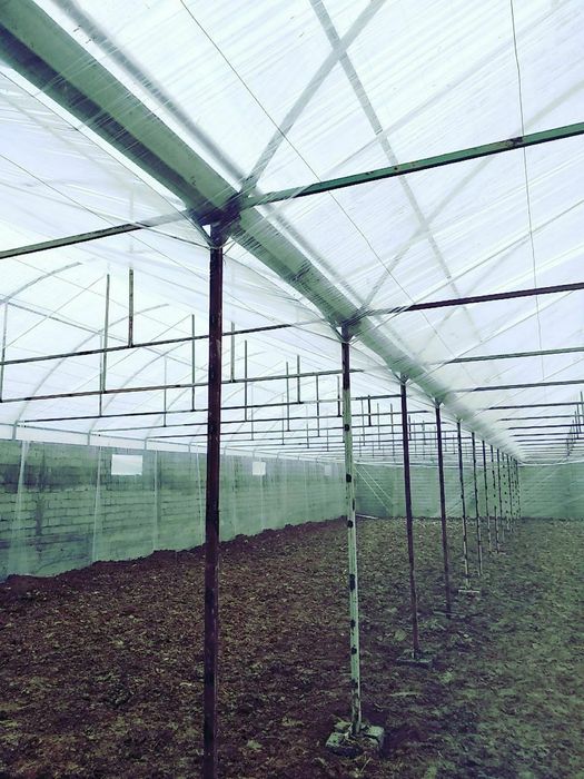 Том парник иссикхона сурток валиш курамиз сфатли тез ва пухта