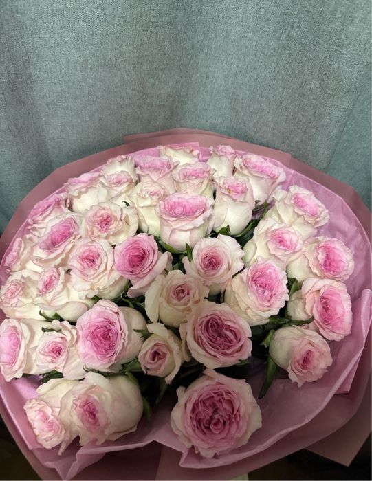 Продам цветы очень нежные свежие