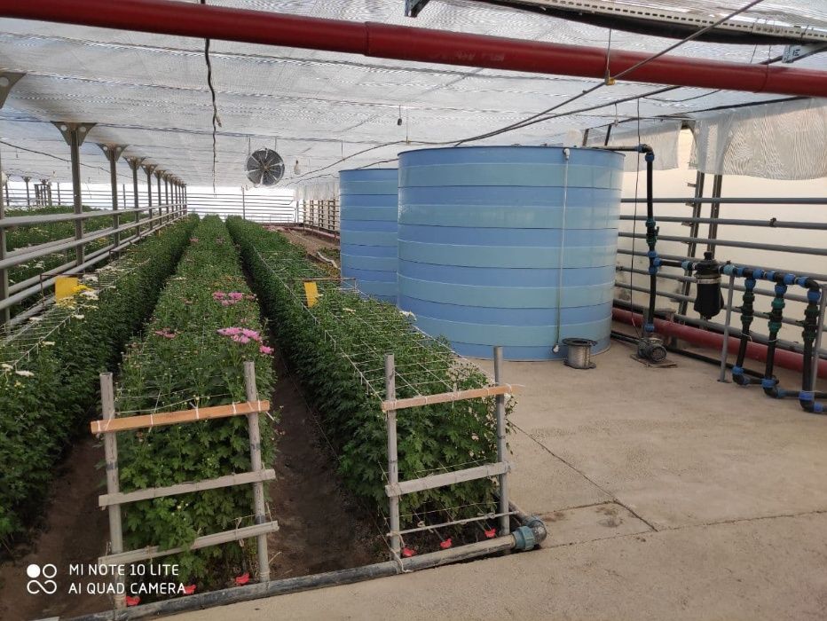 Для теплиц. Эко-ёмкости пластиковые для воды термостойкие, баки воды