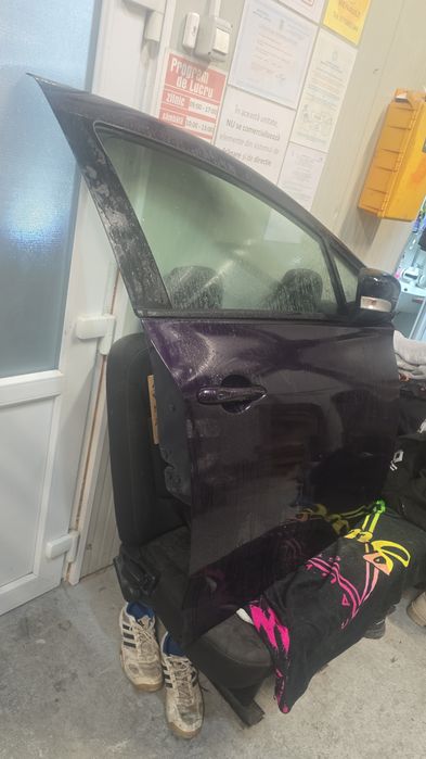 Usa fata Dreapta Renault Zoe
