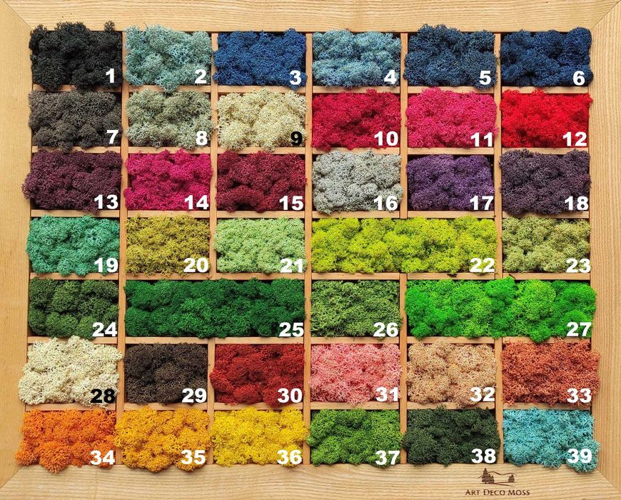 Уникални картини от естествен мъх! Декорация,арт,модерно,свежо,подарък