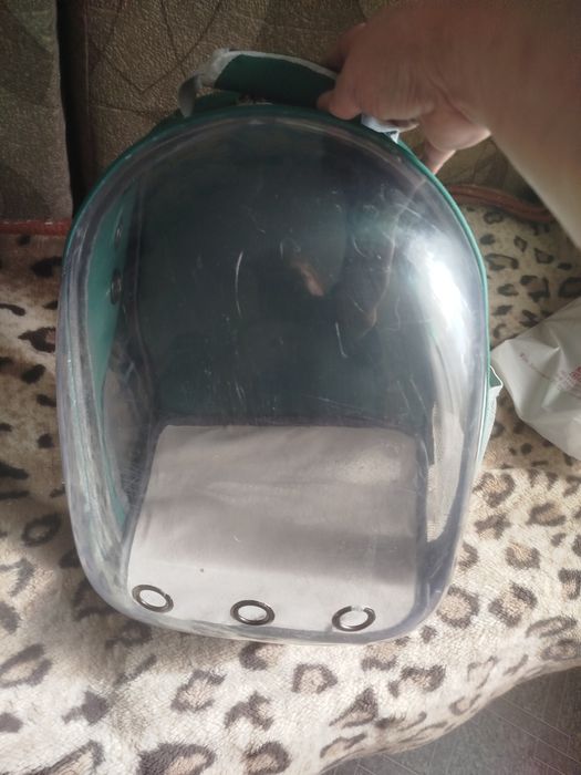 Переноска-рюкзак для питомцев