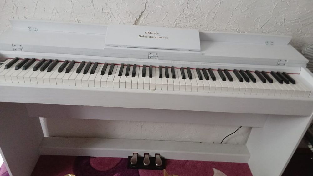 Электронный пионина