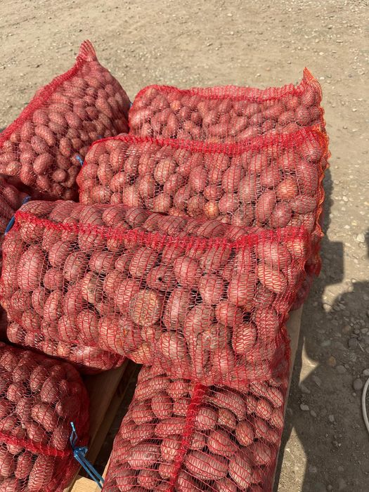 Cartofi pentru animale