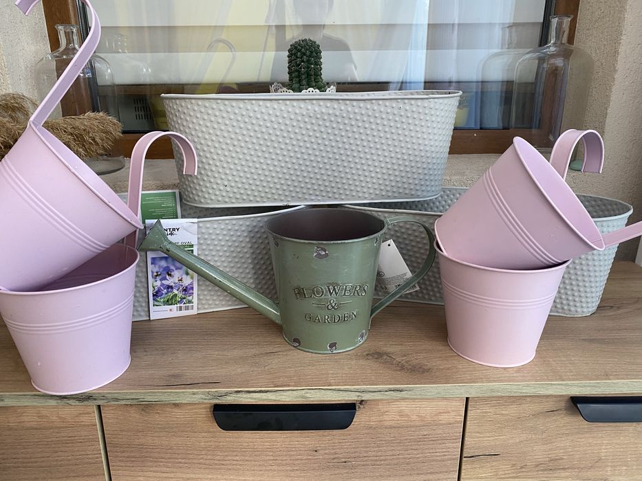 Саксии всичко за 15€