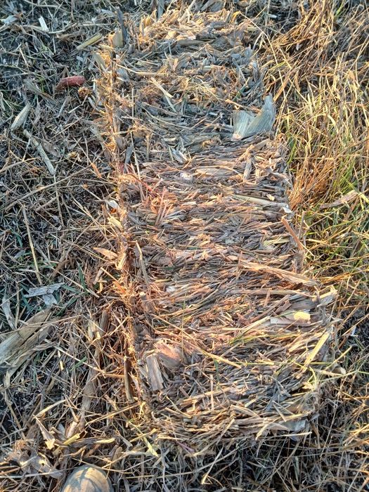 Vând baloti coceni / ciocani