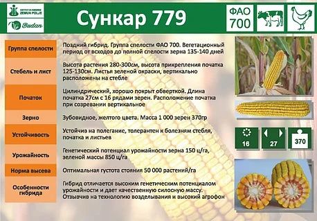 Продаю  семена кукурузы
1) семена кукурузы