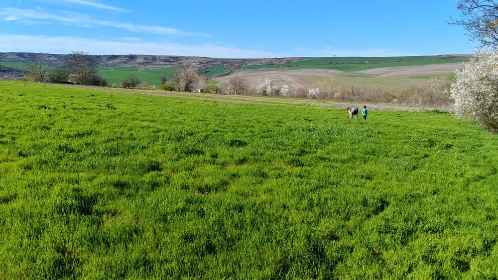 Парцел в регулация.