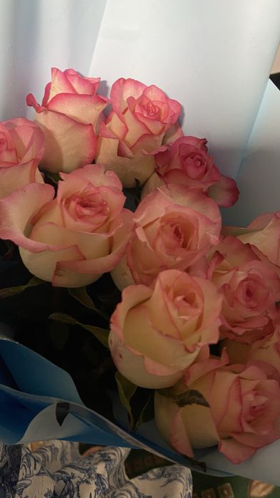 Б/у букеты аксукент