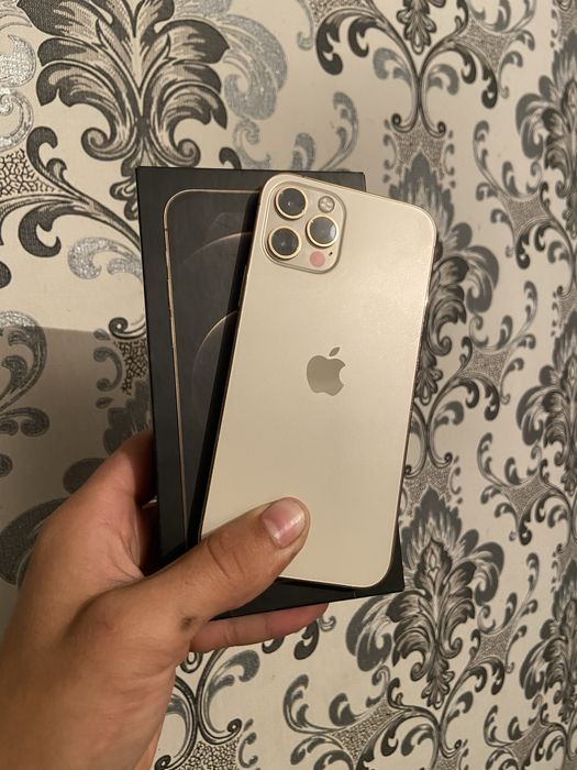 Apple iPhone 12 Pro