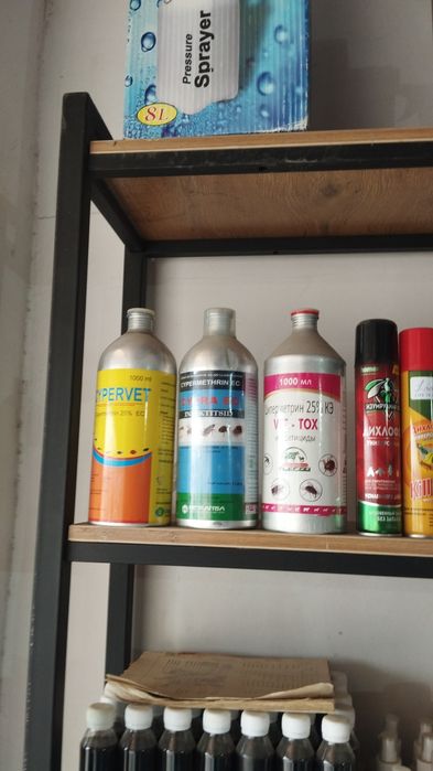 Agro dorilar gul daraxt ko'chat urug'lar