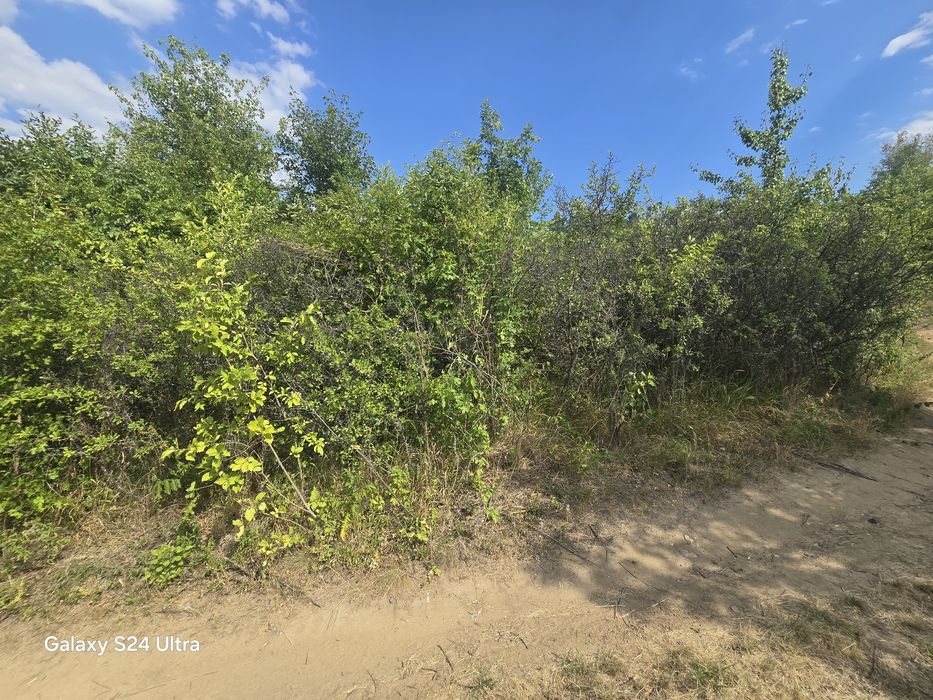 Продава се Парцел в София, Център - 810 кв.м за 19 €/кв.м - Снимка #5