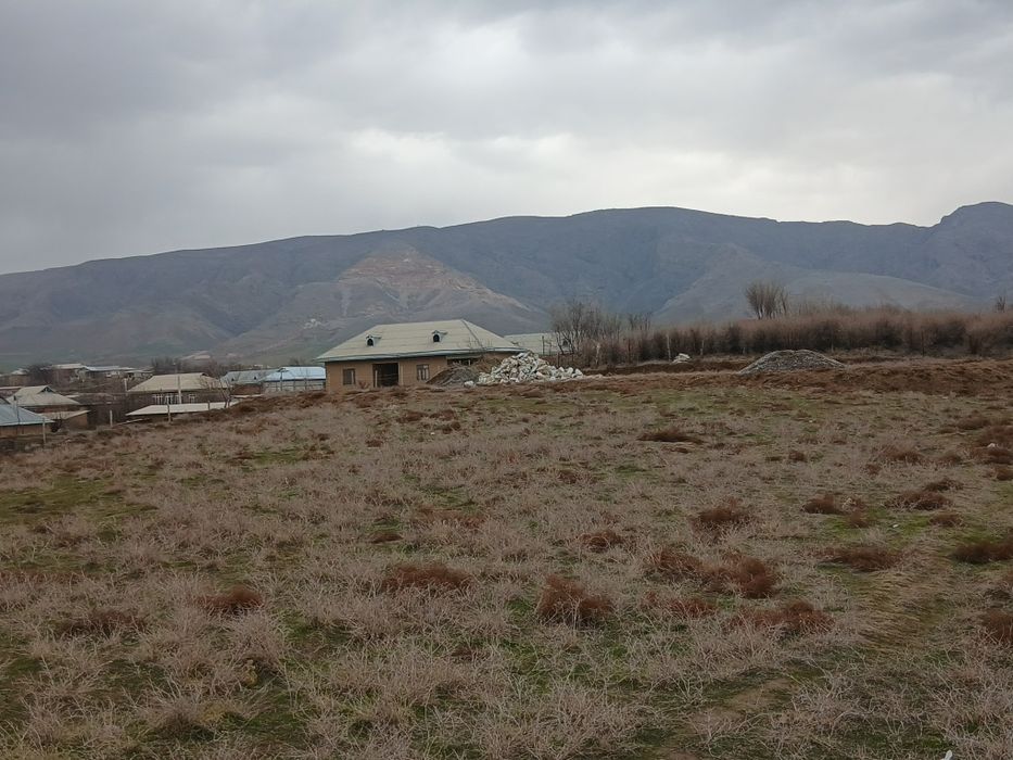 Boʻsh yer sotiladi 10 sotixdan ziyod.