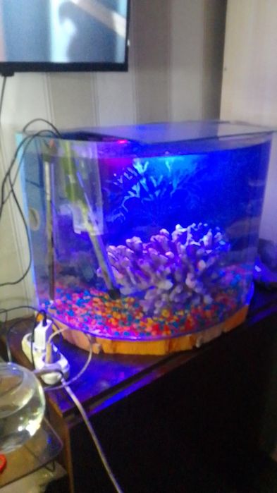 Аквариум с рыбками и оборудовоньем