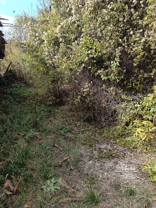 УПИ Долни оманци Р