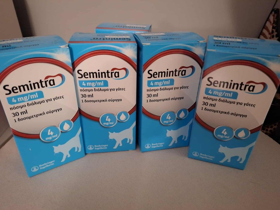 Semintra - при бъбречна недостатъчност при котки