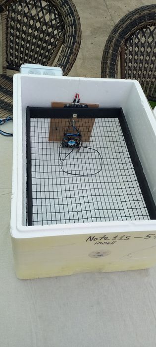 Inkubator avtomat 100%