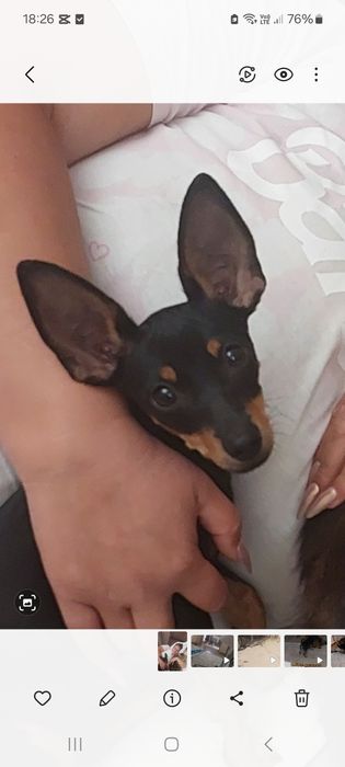 Подарок на новый год