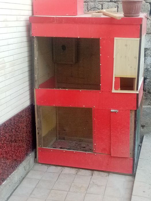 Домик для птицы и курицы.