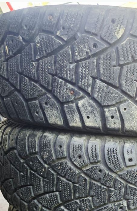 Шина одна  195/65/15.