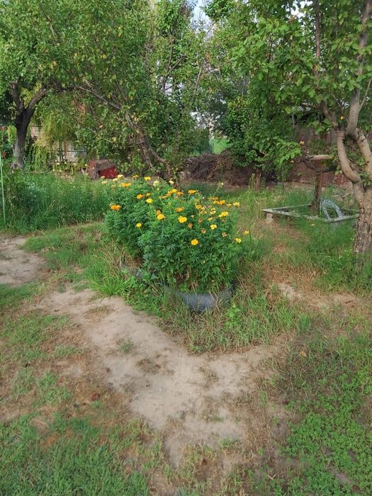 Продается дача на против города Алатау