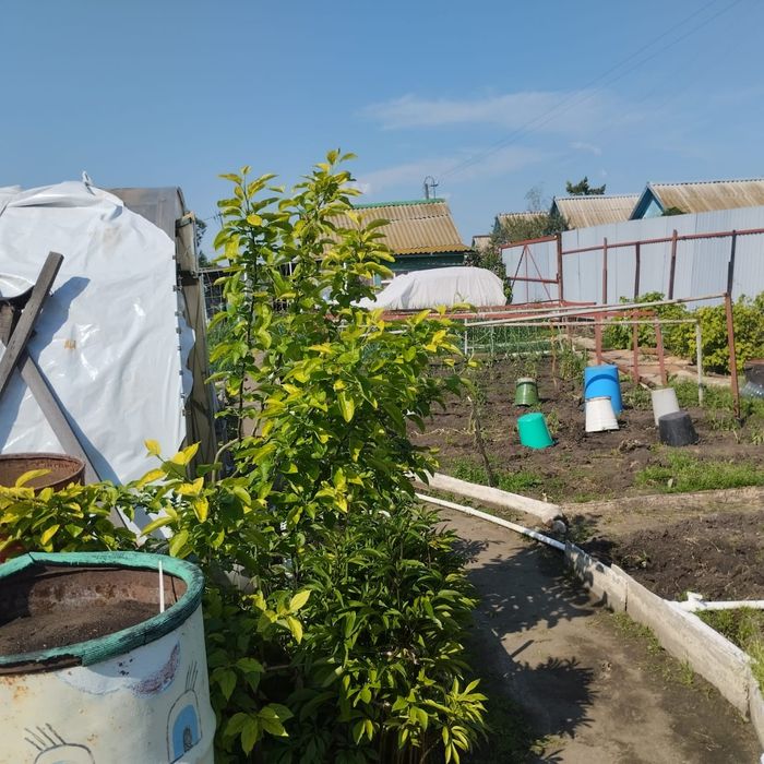 Продам отличную дачу