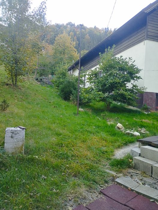De vânzare , proprietate, în zonă montană