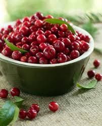 Aronia, Afin Siberian (Lonicera) si Merisor