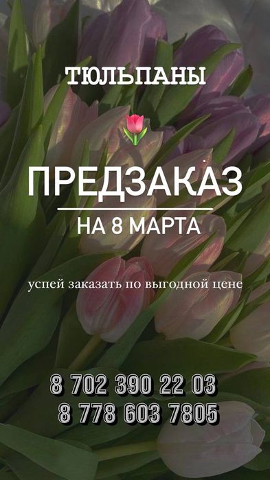 Тюльпаны к 8 марта