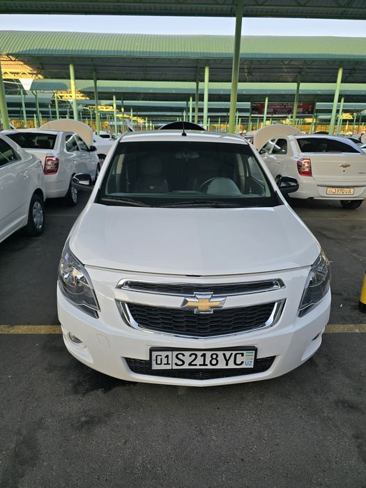 Cobalt Midnight 2025