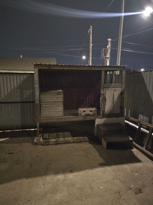 Собачьее вольера