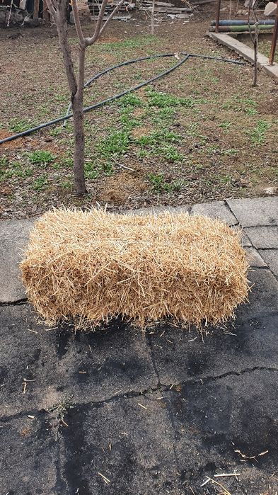 Press somon sotiladi