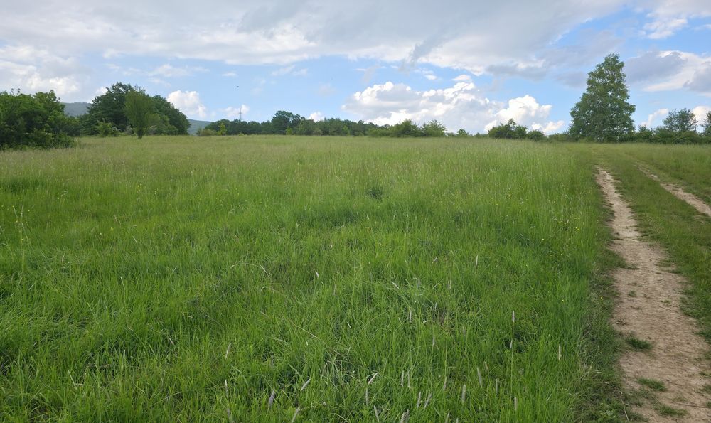 Продава се Парцел в с. Драгичево, Област Перник - 1481 кв.м за 19 €/кв.м - Снимка #1