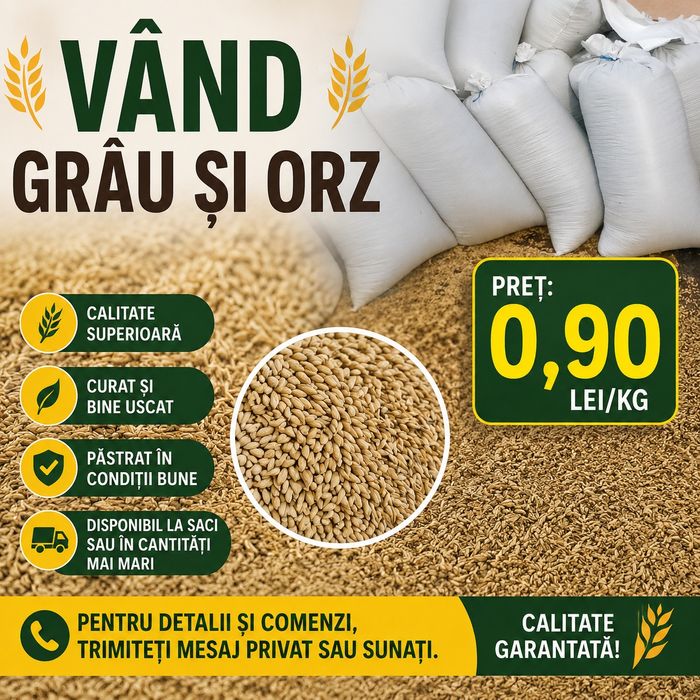 Vând grau orz ... Preț calitate bun!