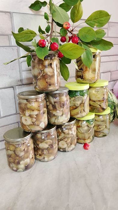 Маринованные грибы