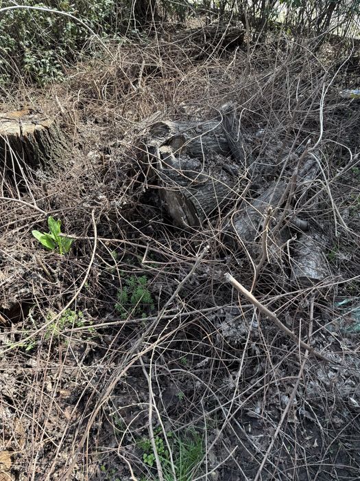 Отын берем тегін өздерініз алып кетсенәз болды