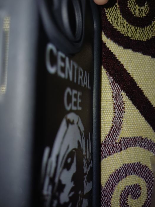 Чехол для IPhone 13 mini с Central Cee