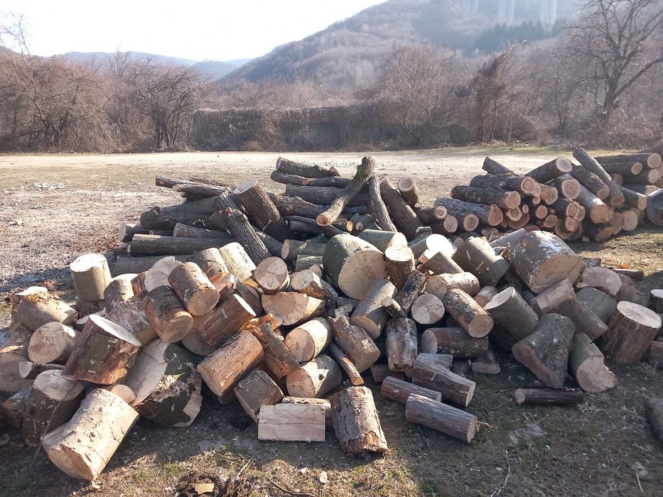 Дърва за Огрев - Нарязани и Нацепени