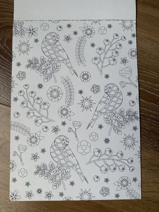 Раскраска формат А4 примерно 10 листов.