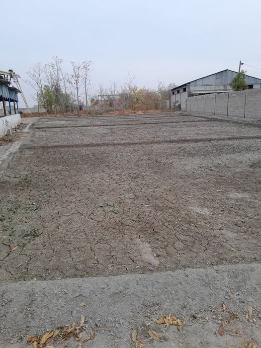 Бино 20 сотих сотилади (нархи 1 сотих учун)