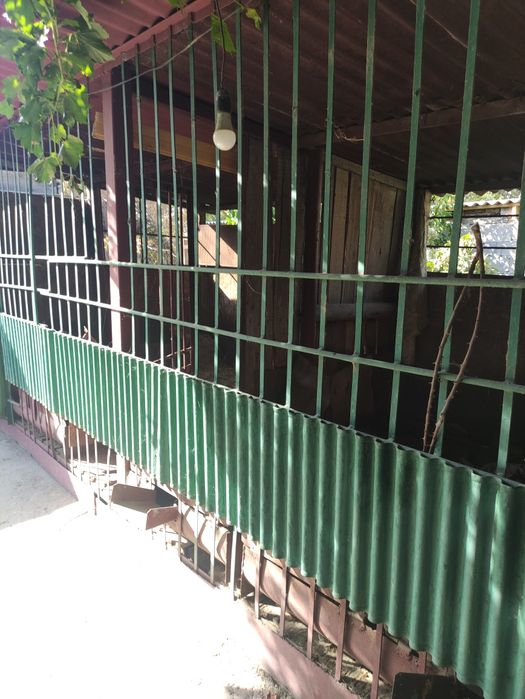 Продам два дома по цене одного