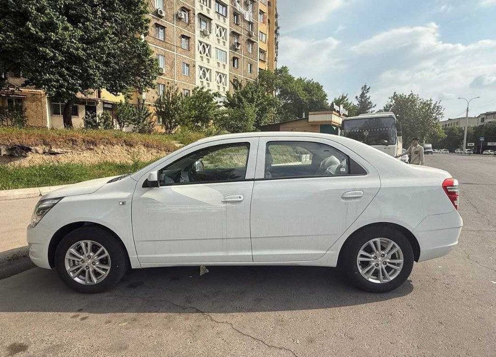 Cobalt nasiya savdoga