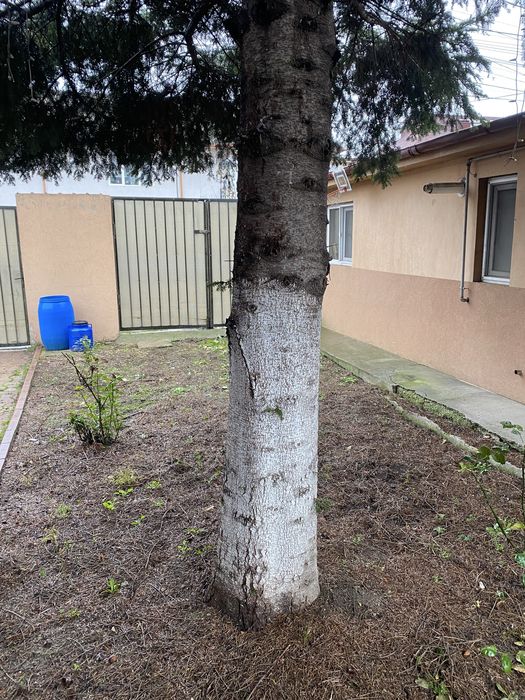 Vand casa + teren Fundeni Dobroiesti Str Doinei