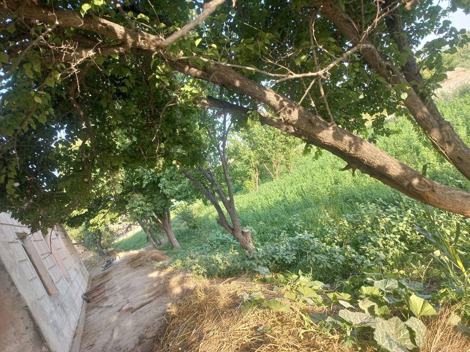 Eр участка  сотилади