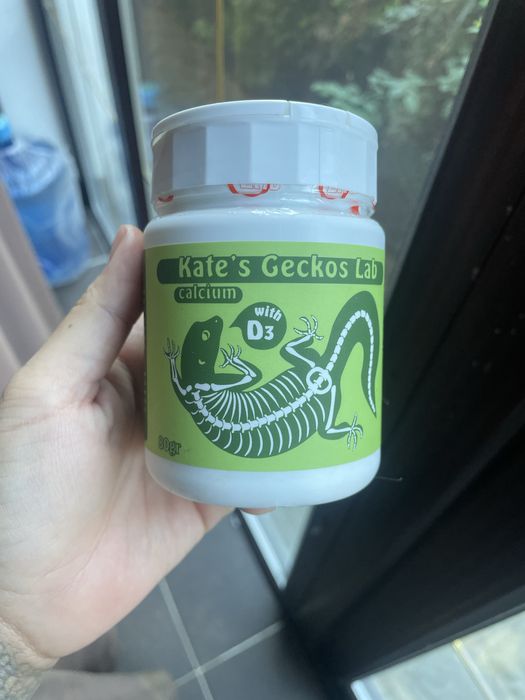 Взрослая самка эублефара