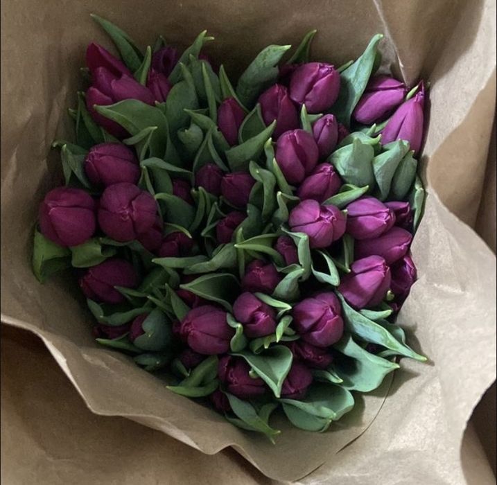 Тюльпаны Павлодар к 8 марта